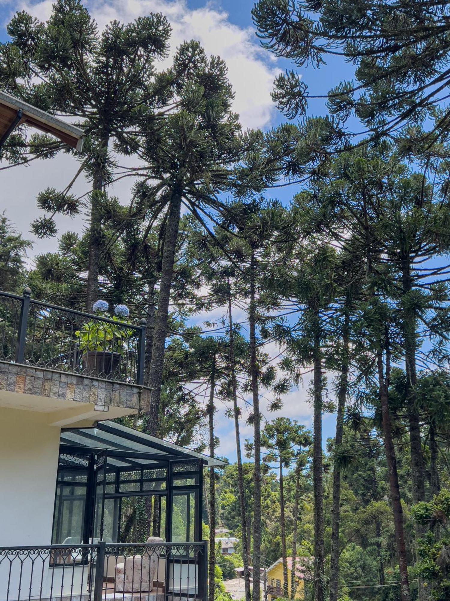 Recanto Do Pepe Hotel Campos do Jordao Exterior photo